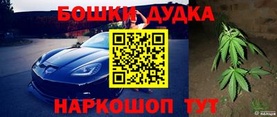 ГАЛЛЮЦИНОГЕННЫЕ ГРИБЫ Малгобек