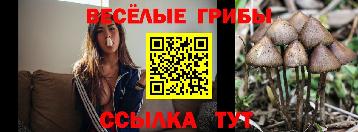 Псилоцибиновые грибы Magic Shrooms Губкин
